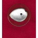 PALAU 5 dolares 2012 plata Haliotis Iris
